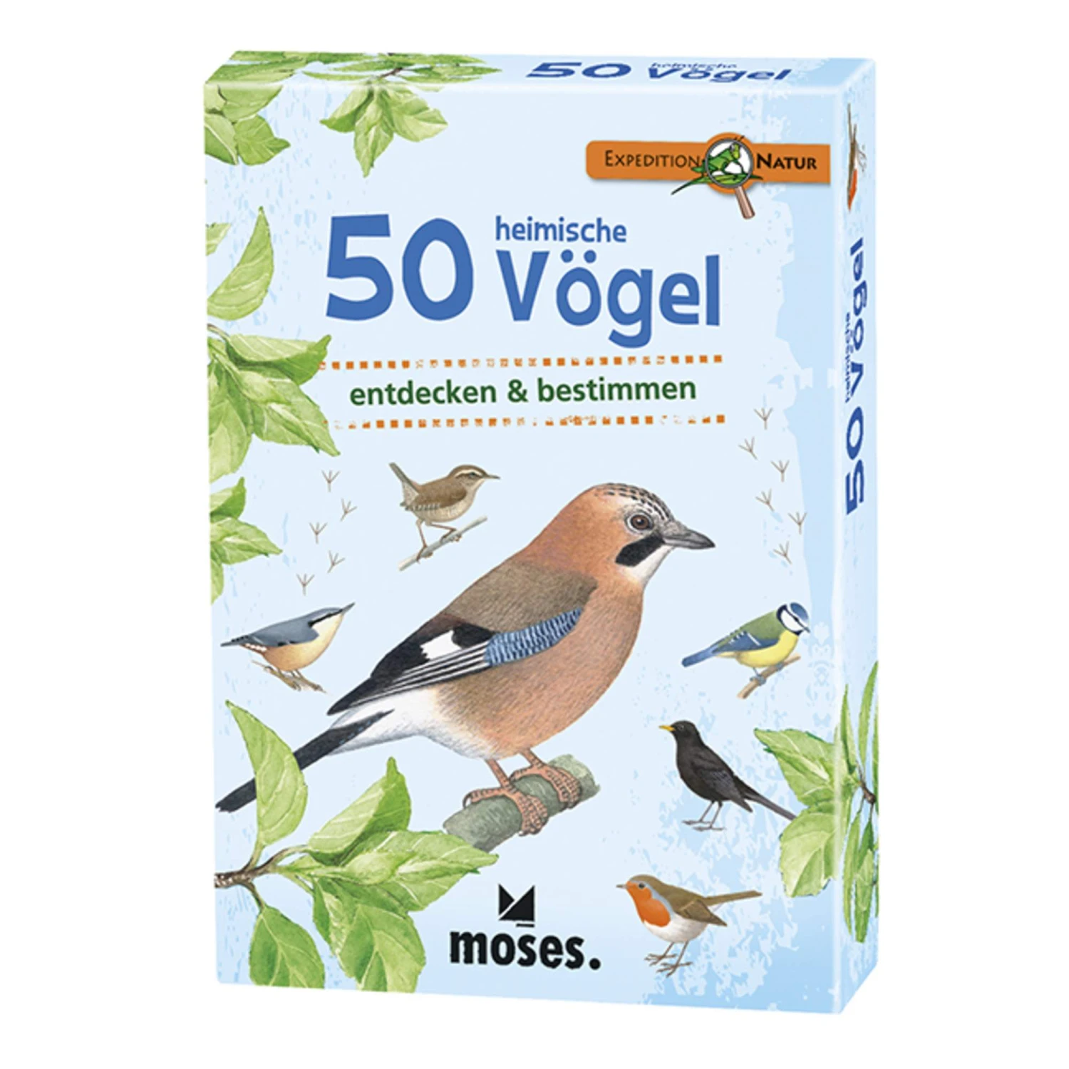 EXPEDITION NATUR 50 HEIMISCHE VÖGEL - Kinderbuch 3 EXPEDITION NATUR 50 HEIMISCHE VÖGEL - Kinderbuch