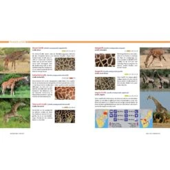 AFRIKA SAFARI REISEFÜHRER - Reiseführer -Camping Serien Laden 5637362886 c afrika safari reisefuehrer 24