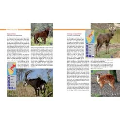 AFRIKA SAFARI REISEFÜHRER - Reiseführer -Camping Serien Laden 5637362886 d afrika safari reisefuehrer 24