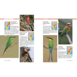 AFRIKA SAFARI REISEFÜHRER - Reiseführer -Camping Serien Laden 5637362886 e afrika safari reisefuehrer 24