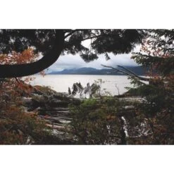 Camping Serien Laden -Camping Serien Laden 5637642723 b die hoffnung und der wolf 24